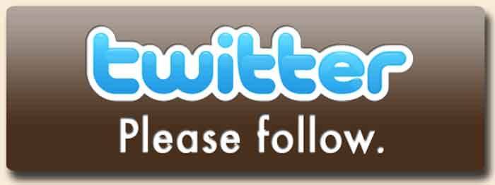 twitter button w