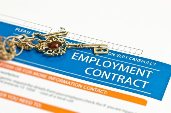 employment contract job that fits