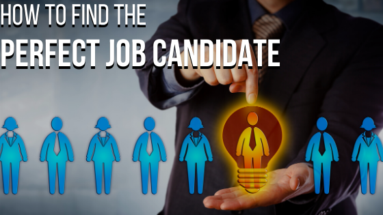 How to find the Perfect Job Candidate